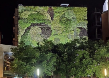 Naturaleza en plano vertical