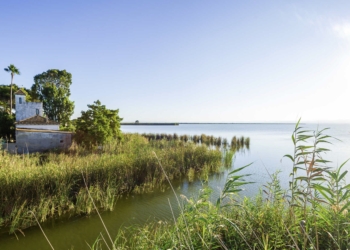 Desde los embarcaderos de El Palmar, es posible disfrutar visualmente de la laguna.