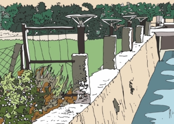 Ilustración: Vicent Blanes