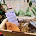 Elda lanza un incienso especial con motivo de la Cabalgata de Reyes