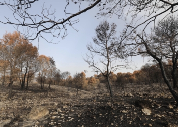 La Diputación incrementa hasta los 1,5 millones de euros las ayudas para prevenir incendios forestales