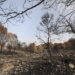 La Diputación incrementa hasta los 1,5 millones de euros las ayudas para prevenir incendios forestales