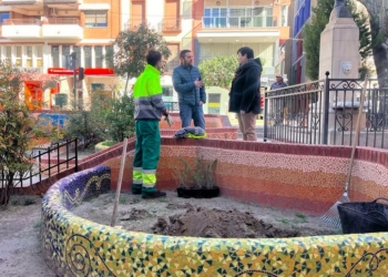Villena celebra el Día del Árbol con la plantación de 16 romeros en la Plaza Beata Águeda Hernández Amorós
