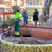 Villena celebra el Día del Árbol con la plantación de 16 romeros en la Plaza Beata Águeda Hernández Amorós