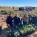 Comienza la plantación de especies autóctonas en el Parque Natural