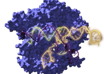 Resucitan ancestros de la herramienta de edición genética CRISPR de hace 2600 millones de años