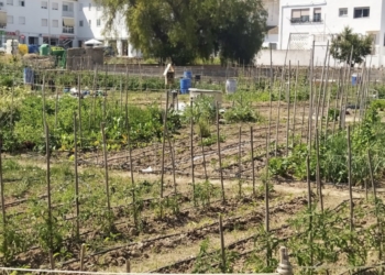 Agricultura entrega una nueva decena de huertos urbanos ecológicos