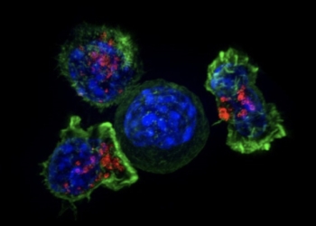 Un caballo de Troya contra el cáncer