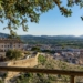 Orihuela registra 84.568 habitantes, 2.400 más que el año anterior