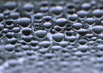 El CSIC lidera un proyecto europeo para obtener hidrógeno verde a partir de bacterias