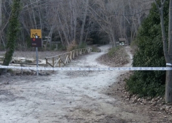 Alcoy seguirá con medidas extraordinarias frente al temporal de viento