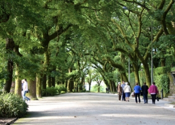 Los organismos del suelo son esenciales para el mantenimiento de parques y jardines