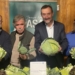 Arranca la campaña de hortalizas de invierno del Camp d’Elx