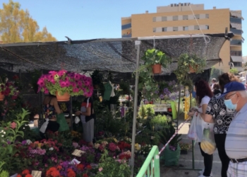 San Vicente del Raspeig convoca 146 puestos para los siete mercadillos ocasionales de 2023