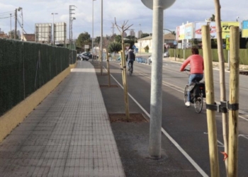 Benidorm inicia una actuación de plantación de nuevo arbolado en todas las zonas de la ciudad