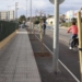 Benidorm inicia una actuación de plantación de nuevo arbolado en todas las zonas de la ciudad