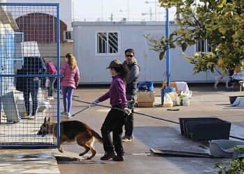 El Albergue Municipal de Animales abrirá sus puertas los 365 días del año