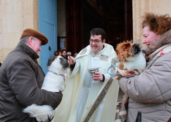 Bendición de los animales a la misma puerta de la iglesia, aquí en Sant Joan d’Alacant.