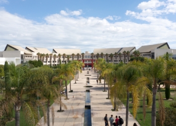 Edificios de nuevas líneas conviven con espacios verdes en el campus | UA