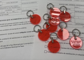 Cada animal de compañía deberá ser dado de alta.