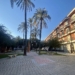 Orihuela adjudica la redacción del proyecto para la remodelación de la plaza de la Salud y su entorno