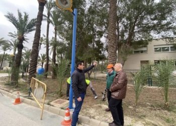 Medio Ambiente repara el sistema de iluminación en el Palmeral