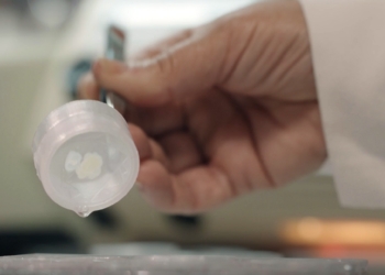 Un equipo de la UMH inventa un dispositivo para manipular de manera fácil muestras de tejido biológico