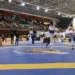 Cerca de 700 deportistas participarán en el Nacional de Taekwondo de Combate y Poomsae de La Nucía