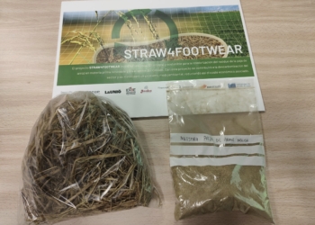 La UMH busca dar una segunda vida a los subproductos del arroz