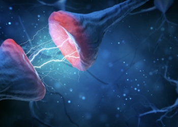 La restauración de sinapsis, nueva estrategia contra el alzhéimer