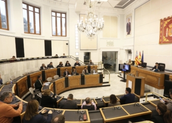 El pleno de la Diputación aprueba por unanimidad la campaña de Bono Consumo con 20 millones de euros