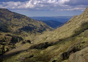 Los continentes crecen tras la colisión de dos placas continentales