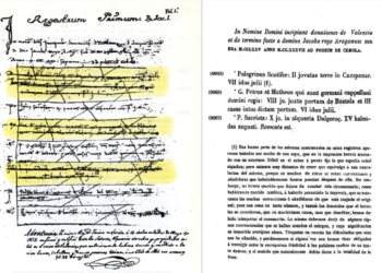 Una edición facsímil y comentada de este importantísimo registro de nuestro pasado.