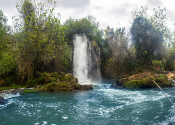 Los Chorradores de Navarrés, un magnífico espectáculo natural