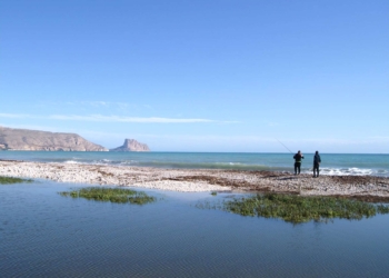 Imagen de la costa desde el trazado del sendero azul