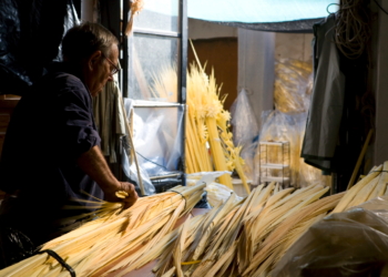 Elche, la ciudad de la palma blanca