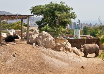 Imagen de Terra Natura con Benidorm al fondo.