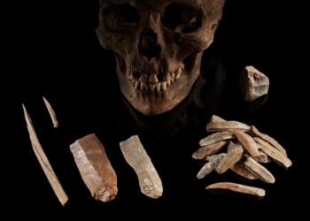 Los supervivientes de la Edad del Hielo