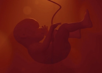 Nace un proyecto para mejorar la atención a las personas que han sufrido pérdidas reproductivas precoces