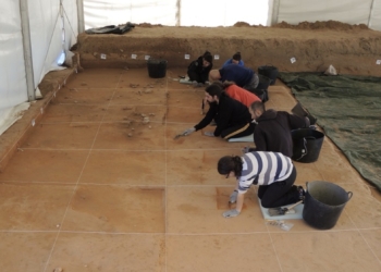 Los restos hallados en el yacimiento del Arenal de la Virgen de Villena revelan el impacto de la aridez en las comunidades prehistóricas