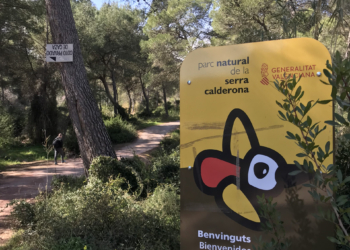 La eterna belleza de la Calderona