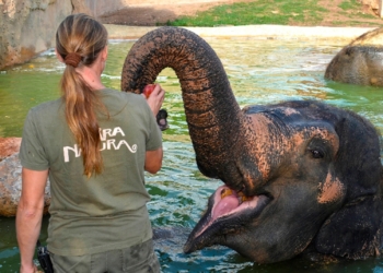 Terra Natura inicia una nueva temporada centrada en la biodiversidad
