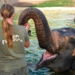 Terra Natura inicia una nueva temporada centrada en la biodiversidad