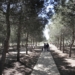 Más de mil personas acampan en Semana Santa en el área recreativa municipal «José Eduardo Gil Rebollo»