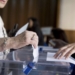 El censo de Benidorm para las elecciones roza las 44.000 personas