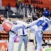 Más de 1.500 deportistas se darán cita en el Open Internacional de España de taekwondo de La Nucía