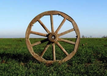 Crevillent se vuelca en la celebración del Día del Pueblo Gitano