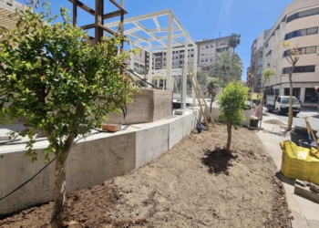 La nueva imagen de la Plaza del Zapatero comienza a tomar forma