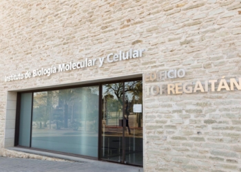 Cuatro investigadores de la UMH, entre los 25 autores más citados en España