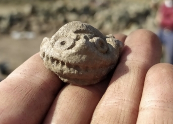 Un equipo de investigación de la UA estudia en Argentina una cultura ‘igualitaria’ del neolítico